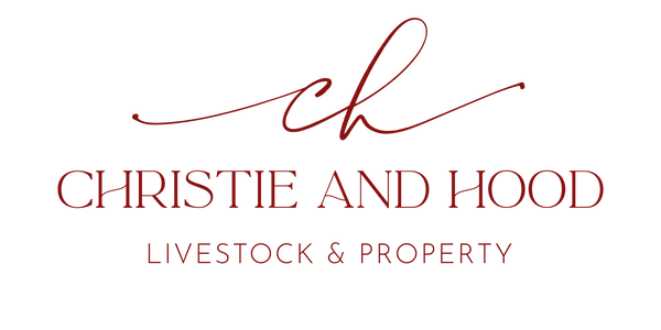 Christie and Hood Logo