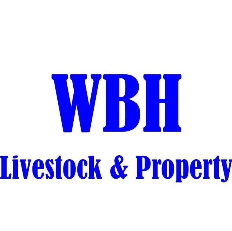 WBH Livestock & Property Logo