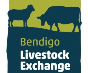Bendigo Livestock Exchange Logo