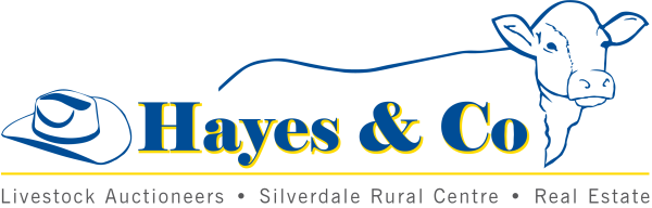 Hayes & Co.  Logo