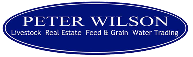 Peter Wilson Livestock & Real Estate Logo