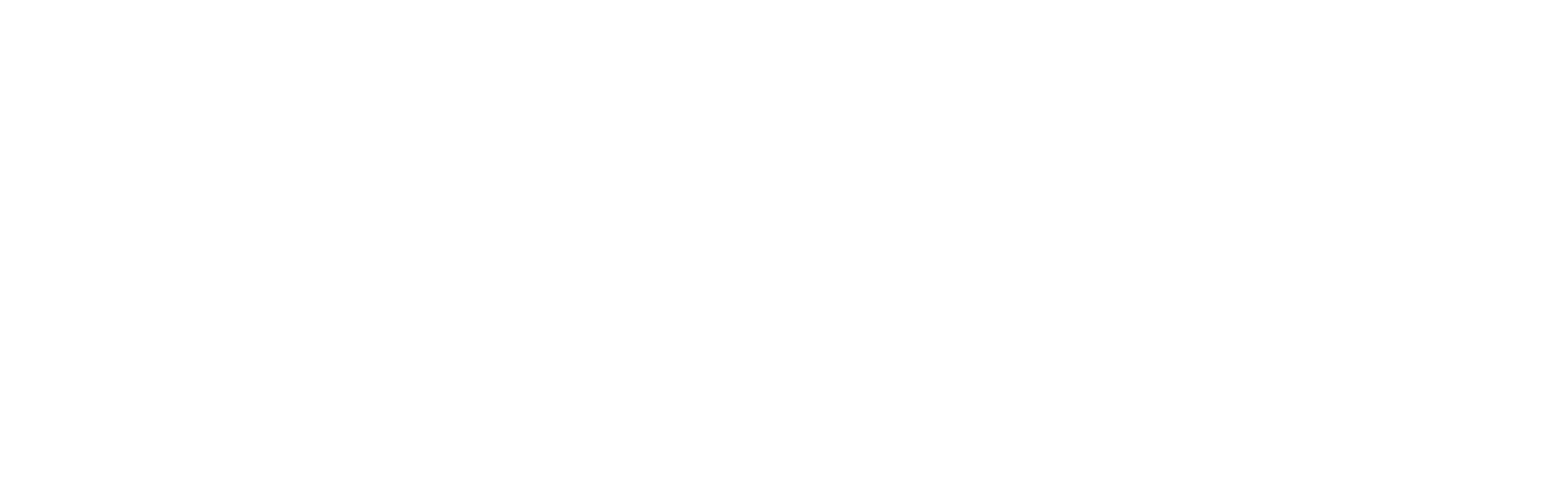 Dillon & Sons Logo