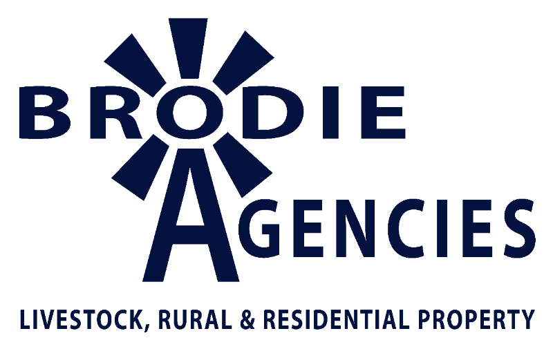 Brodie Agencies Logo