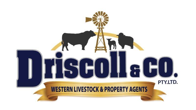 Driscoll & Co Logo