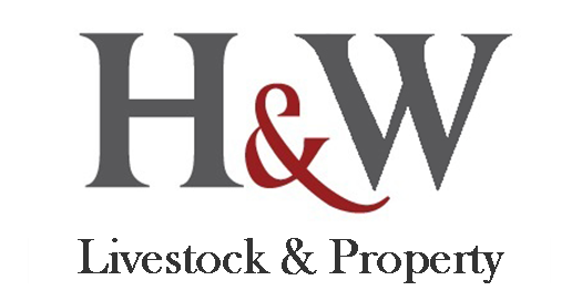 Hoch & Wilkinson Logo