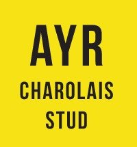 AYR Charolais Stud Logo