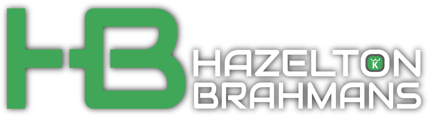 Hazelton Brahmans Logo