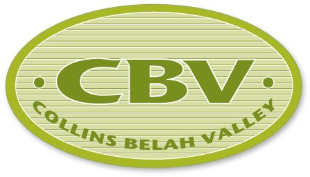 CBV Brahmans Logo