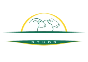Woolumbool White Suffolks Logo