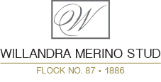 Willandra Merinos Logo