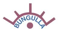 Bungulla Merinos Logo