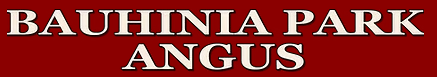 Bauhinia Park Angus Logo