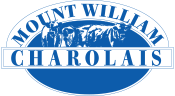 Mount William Charolais Logo