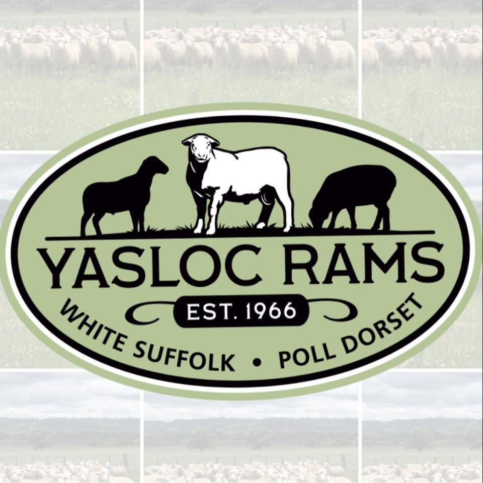 Yasloc Poll Dorset and White Suffolk Logo