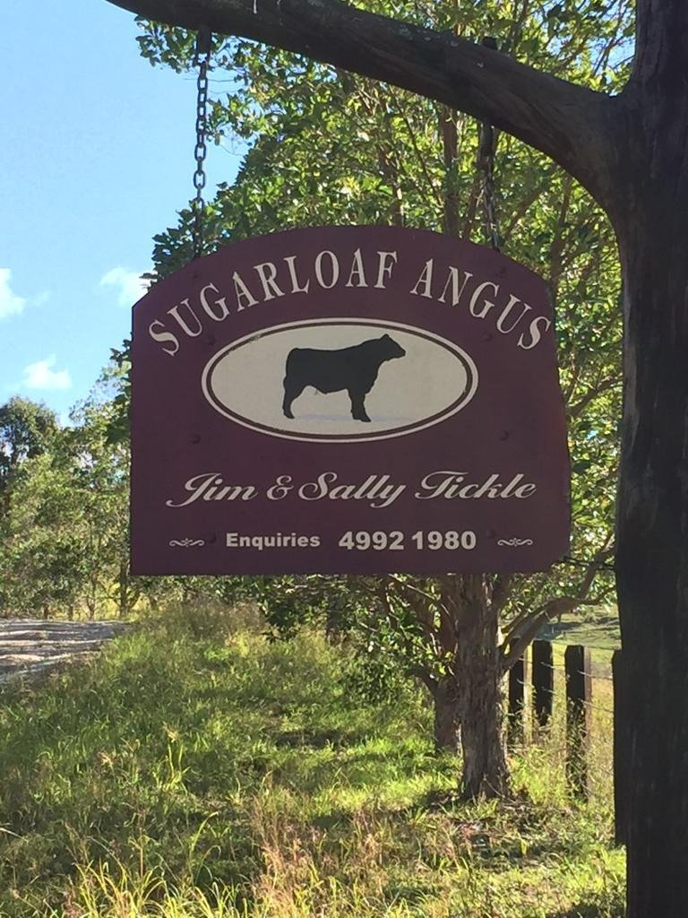 Sugarloaf Angus Logo