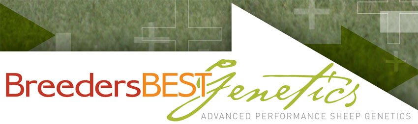 BreedersBEST Genetics Logo