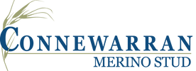 Connewarran Merino Logo