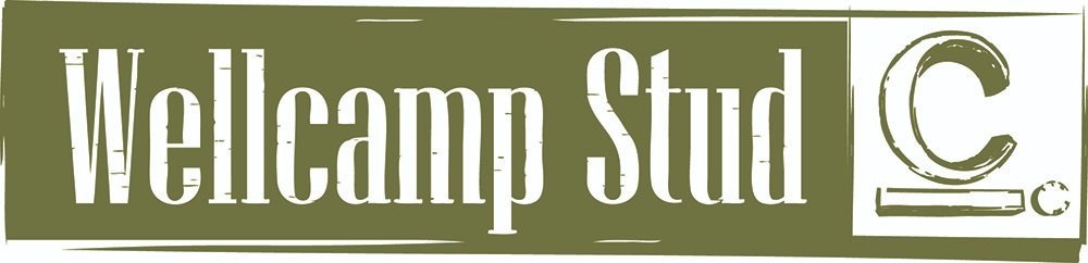 Wellcamp Stud Logo