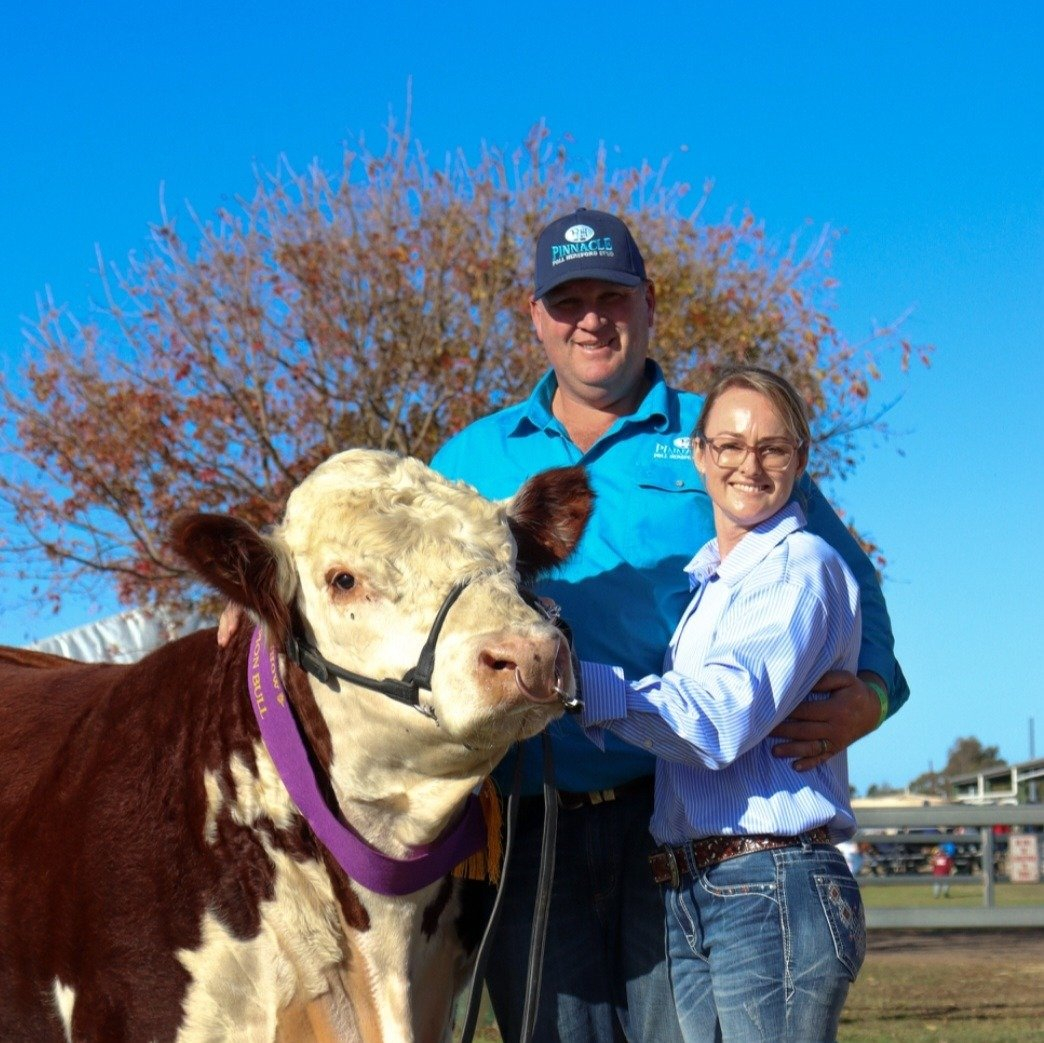 PINNACLE POLL HEREFORDS Logo