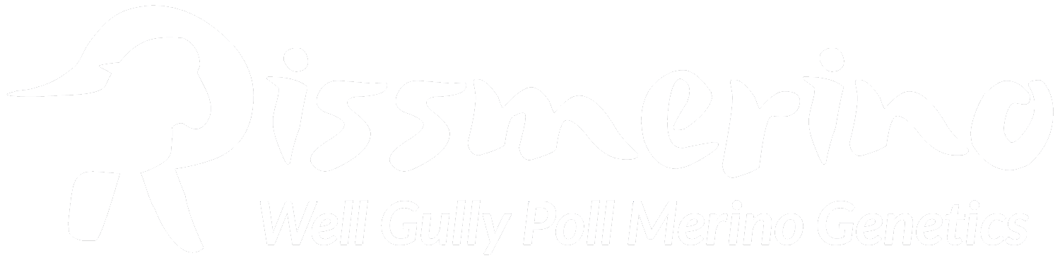Rissmerino Poll Merino Logo