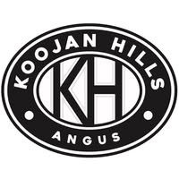 Koojan Hills Angus Logo