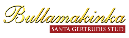 Bullamakinka Santa Gertrudis Logo