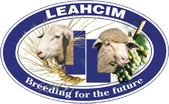 Leahcim Poll Merino Logo