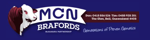 MCN Brafords Logo
