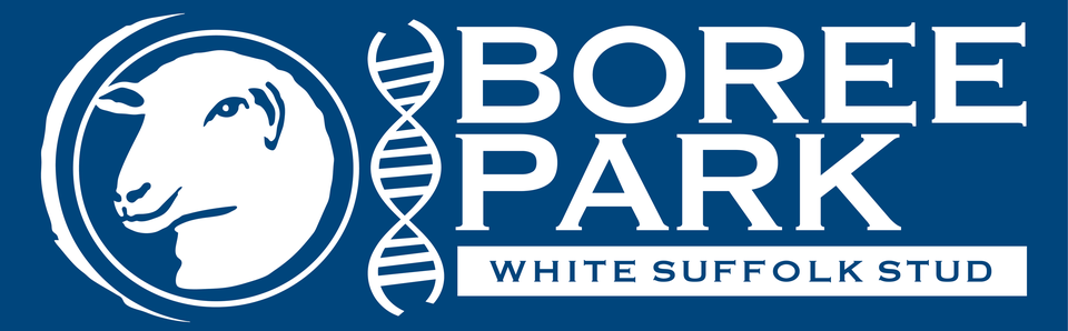 Boree Park Stud Logo