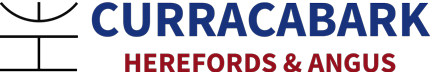 Curracabark Angus & Herefords Logo