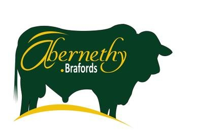 Abernethy Brafords Logo