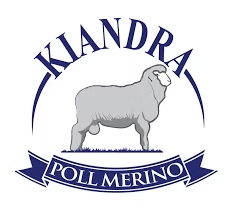 KIANDRA POLL MERINOS Logo