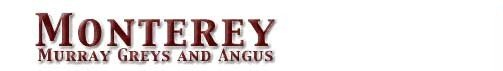 Monterey Angus Logo