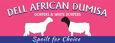 Dell African Dumisa Logo
