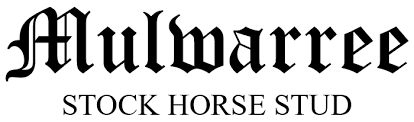 Mulwarree Stock Horse Logo