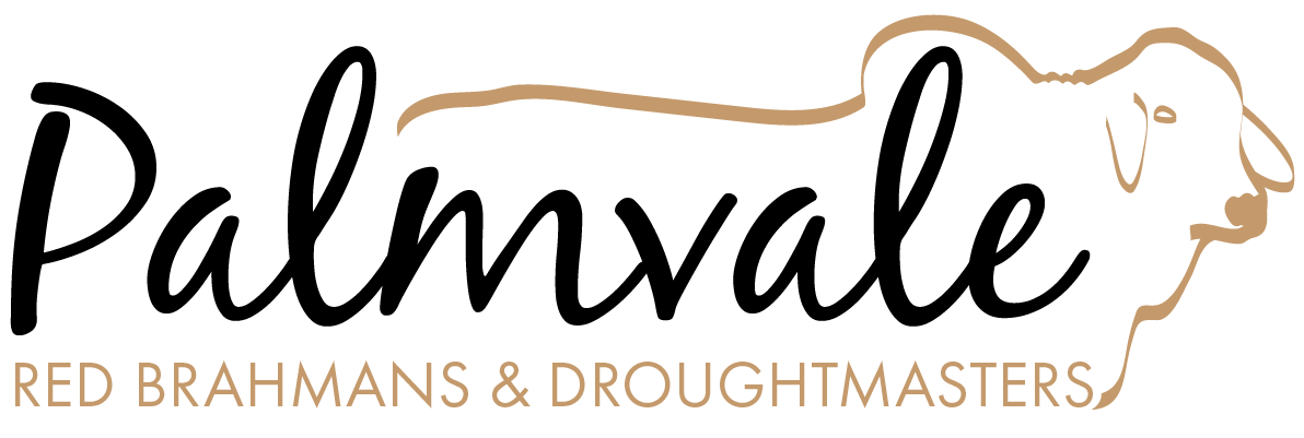 Palmvale Red Brahmans & Droughtmasters Logo