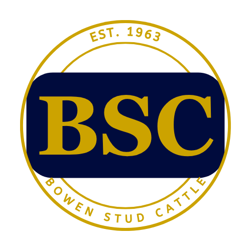 Bowen Pastoral Company Logo