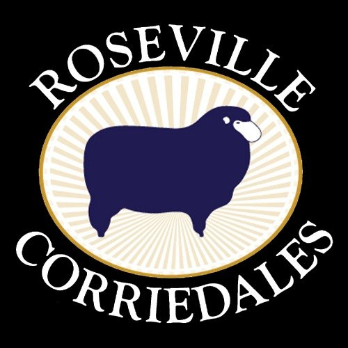 Roseville Corriedales Logo