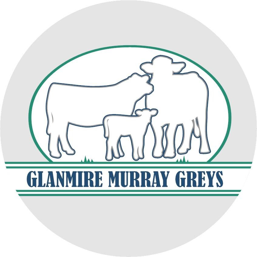 Glanmire Murray Greys Logo