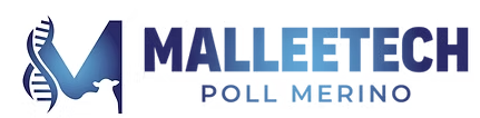 Malleetech Poll Merino Logo