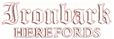 Ironbark Herefords Logo