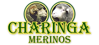 Charinga Merinos Logo