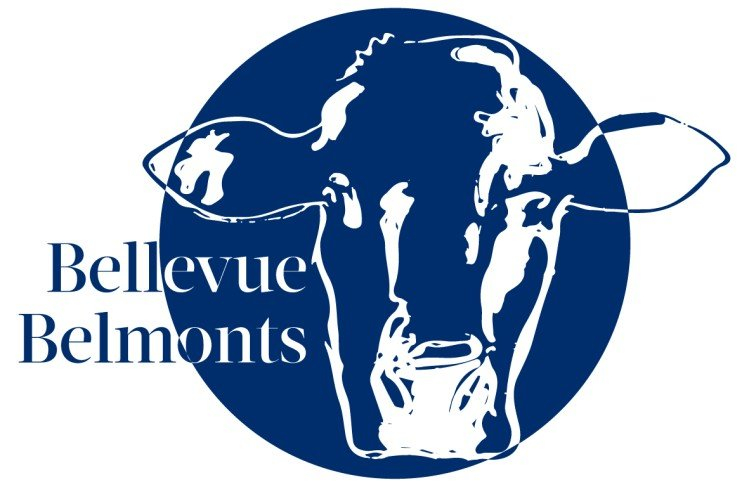 BELLEVUE BELMONT REDS Logo