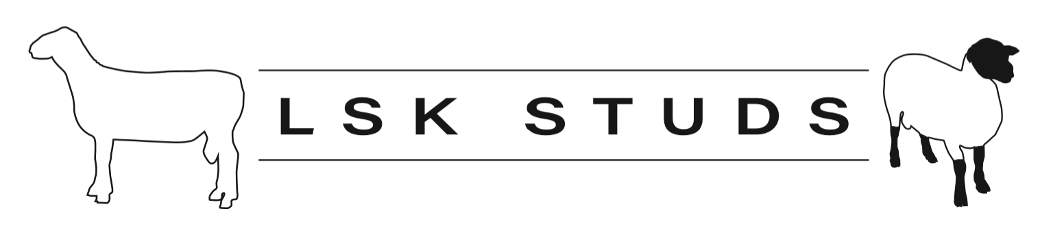 Ivadene & LSK studs Logo
