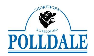 Polldale Shorthorns Logo
