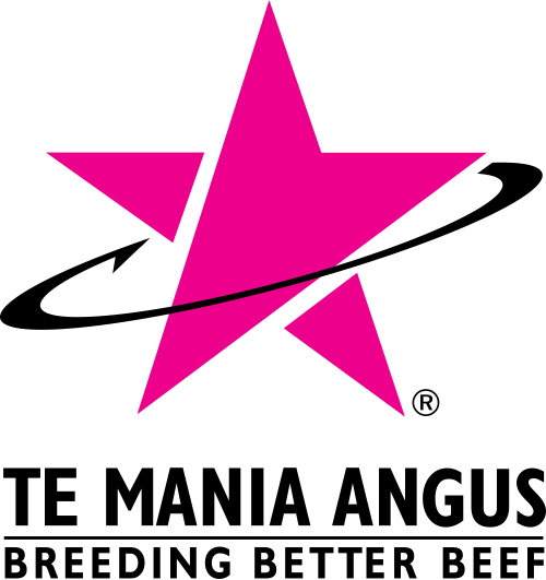 Te Mania Angus Logo