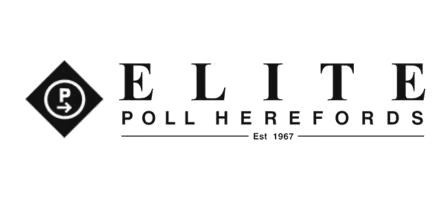 Elite Poll Herefords Logo