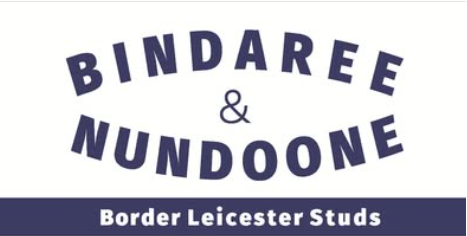 Bindaree Border Leicesters Stud Logo