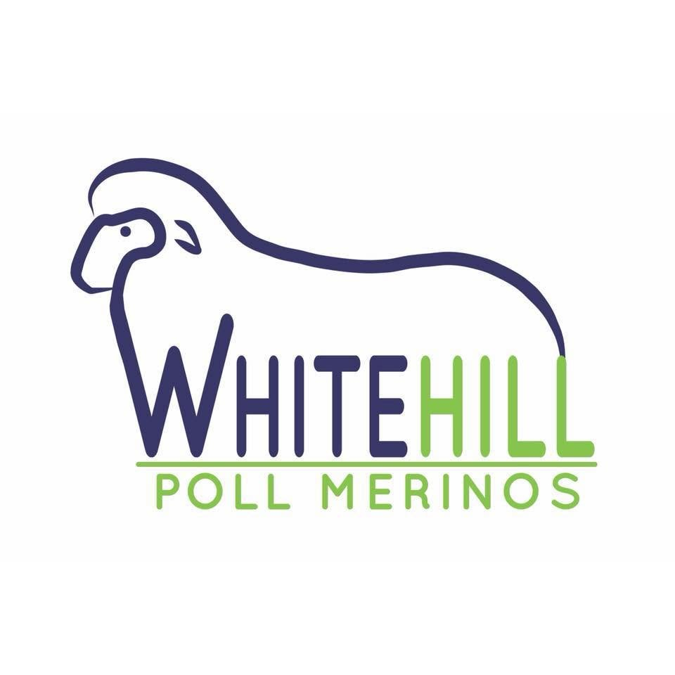 Whitehill Poll Merinos Logo