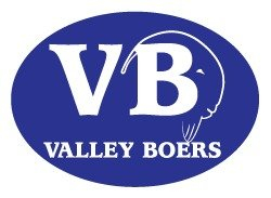 Valley Boers Logo